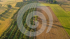 The field soil reclamation in preparation for seeding or planting