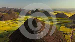 Aerial view drone flight above canola flower field, Luoping, China