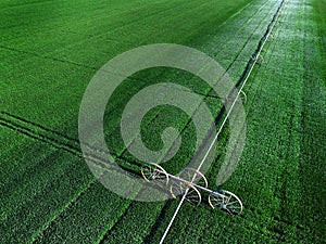 Aerial View from a Drone Flying above Green Farm Field Growing Crops Irrigation Pivot Sprinklers