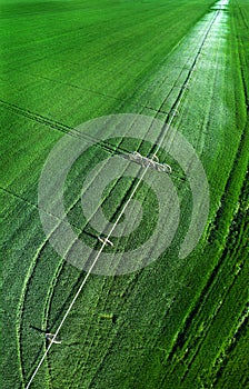 Aerial View from a Drone Flying above Green Farm Field Growing Crops Irrigation Pivot Sprinklers