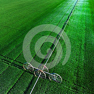 Aerial View from a Drone Flying above Green Farm Field Growing Crops Irrigation Pivot Sprinklers