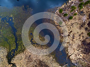 Aerial View from a Drone Flying above Ponds and Marshland Wetland photo
