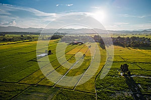 Aerial view of drone flying above rice field