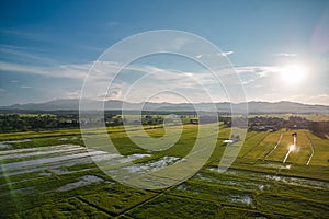 Aerial view of drone flying above rice field