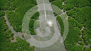 Aerial view drone flying through palm trees to sand beach, Phuket, Thailand