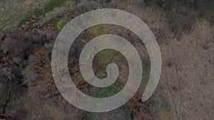 Aerial View from drone of forest with green trees and bog. Shot over the north european wood. Cinematic tonned