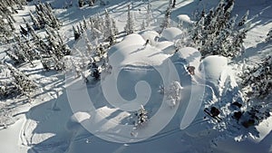 Aerial view drone freerider snowboarder drop in powder snow