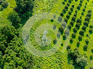 Aerial view by drone of High-voltage poles in the forest. Flight over power transmission lines in green field countryside