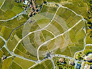 Aerial view with drone over vineyards in golden autumn color, Region Lavaux