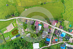 Aerial view drone shot of beautiful green rice fields in Beautiful light of nature in the morning and road around  village