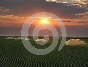 Aerial view drone shot of irrigation system on agricultural soybean field at sunset