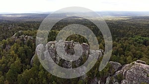 Aerial view of drone with typical Portuguese forest, crown of trees, pines and oaks, beauty of nature. Footage. A man