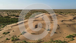 Aerial view from a drone. Woman in a long leopard dress walks along a high dune in the desert with grass in summer in