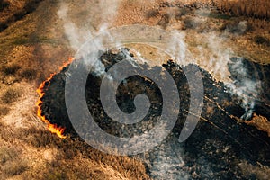 Aerial View Of Dry Grass Burns During Drought And Hot Weather. Concept Of Save Nature. Bush Fire And Smoke In Meadow