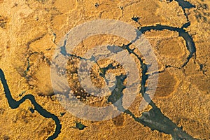 Aerial View Of Dry Grass And Partly Frozen River Landscape In Late Autumn Day. High Attitude View. Marsh Bog. Drone View