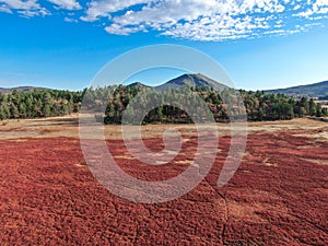 Aerial view of dry Lake Cuyamaca, California, USA