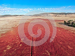 Aerial view of dry Lake Cuyamaca, California, USA