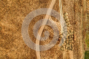 Aerial view of dusty dirt road through grassy plain landscape