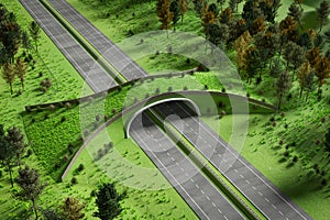 Aerial view of ecoduct or wildlife crossing 3D