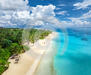 Aerial view of empty sandy beach with palm trees, blue ocean