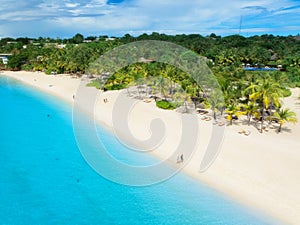 Aerial view of empty sandy beach with palm trees, blue ocean
