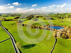 Aerial view of endless lush pastures and farmlands of England. Beautiful English countryside with emerald green fields and meadows