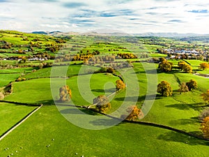 Aerial view of endless lush pastures and farmlands of England. Beautiful English countryside with emerald green fields and meadows