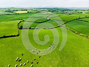 Aerial view of endless lush pastures and farmlands of Ireland. Beautiful Irish countryside with emerald green fields and meadows