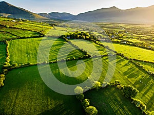 Aerial view of endless lush pastures and farmlands of Ireland. Beautiful Irish countryside with green fields and meadows. Rural