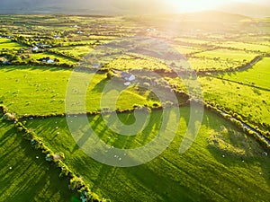 Aerial view of endless lush pastures and farmlands of Ireland. Beautiful Irish countryside with green fields and meadows. Rural