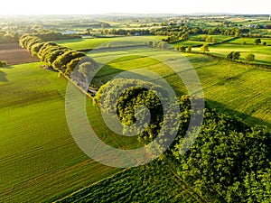 Aerial view of endless lush pastures and farmlands of Ireland. Beautiful Irish countryside with green fields and meadows. Rural