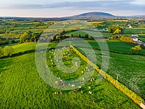 Aerial view of endless lush pastures and farmlands of Ireland. Beautiful Irish countryside with green fields and meadows. Rural