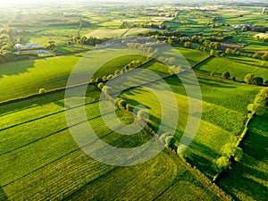 Aerial view of endless lush pastures and farmlands of Ireland. Beautiful Irish countryside with green fields and meadows. Rural