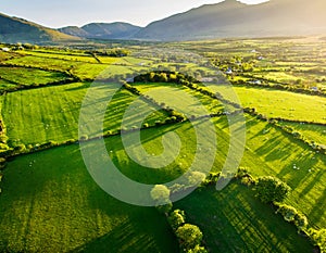 Aerial view of endless lush pastures and farmlands of Ireland. Beautiful Irish countryside with green fields and meadows. Rural