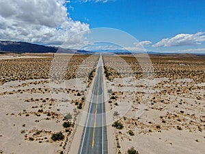 Aerial view of endless straight road in the desert of Joshua Tree Park. USA