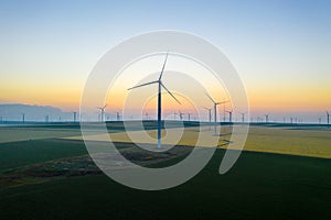 Aerial view of Eolian generators in a beautiful wheat field. Eolian turbine farm. Wind turbine silhouette. Wind mill turbines. Win