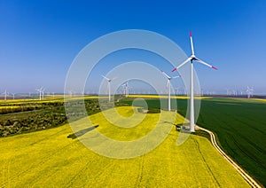 Aerial view of eolian turbines. Rapeseed field in bloom. Renewable energy photo