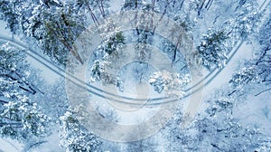 Aerial view of evergreen Christmass forest from above. drone shot.  winter background