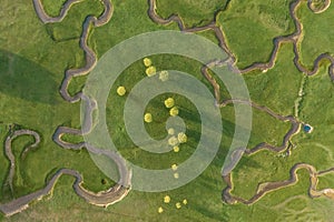 Aerial view of extraordinary meadow with many paths photo
