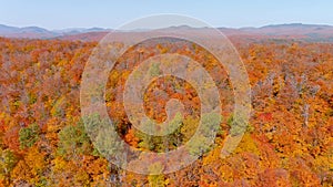 Aerial view of fall season foliage colors