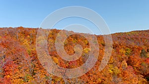 Aerial view of fall season foliage colors