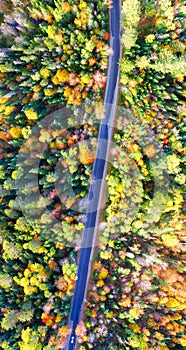 Aerial view of fall tree colors in New England. Bright autumn foliage