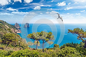 Aerial view of famous Faraglioni rocks from Capri island, Italy