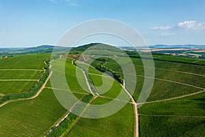 Aerial view about famous vineyards of Hungary at Villany wine region.