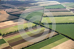Aerial view of farm fields photo