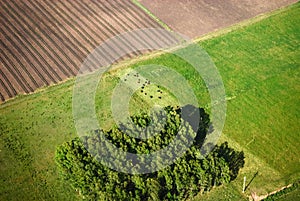 Aerial view of farm with green fields