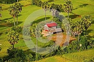 Aerial view of farm house and fields. Siem Reap