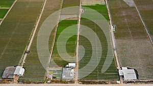 Aerial view of farm land in a Chinese agriculture village in winter in Quanzhou China