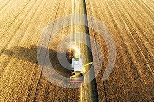 An aerial view of farm machinery in the field harvesting wheat. Combine harvester machine.