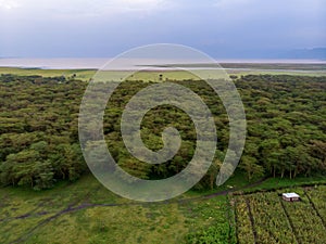 Aerial view on Farm plantation on the Edge with a Primal Virgin Forest of Manyara National Park Concervation Area in